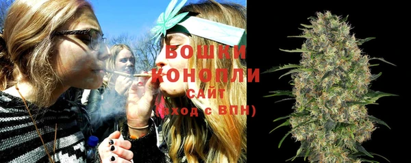 спайс Богородицк