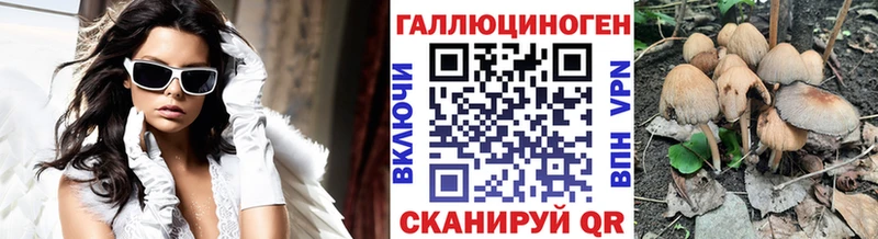 kraken как зайти Вельск Псилоцибиновые грибы Magic Shrooms что такое